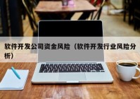 軟件開發(fā)公司資金風(fēng)險（軟件開發(fā)行業(yè)風(fēng)險分析）